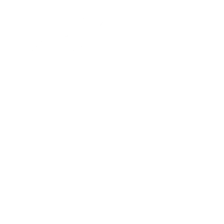 White sailing ship emblem from The Cutty Sark Motel logo design.