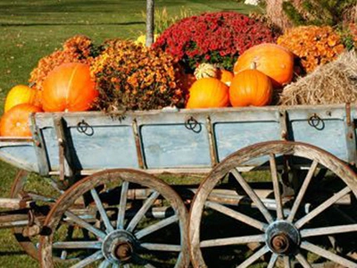 Decorated wagon with pumpkins and fall flowers during Harvestfest celebrations in York, Maine.